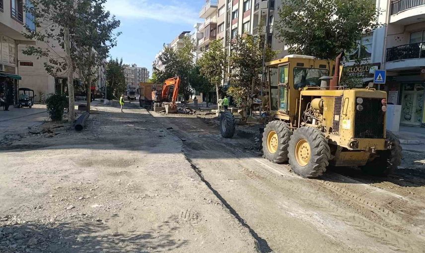 Aydın'da 17 ilçede eş zamanlı yol seferberliği
