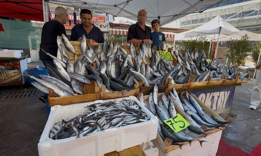 palamut sezonu bereketi zonguldak’ta tezgâhları canlandırdı