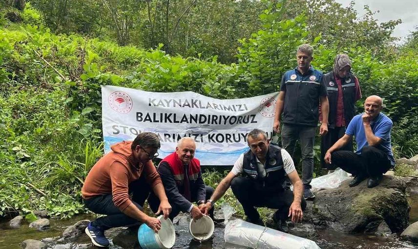 Sera Gölü'ne 40 bin yavru sazan bırakıldı, içsu stokları güçlendiriliyor
