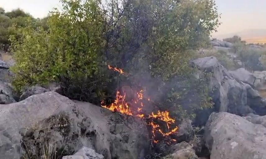 Besni'de anız yangını ormanlık alana sıçradı; 20 hektar zarar gördü