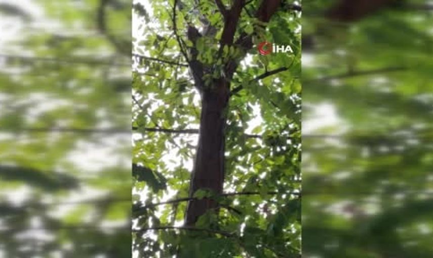 Düziçi'nde gecenin sessizliğini kablolar bozdu: düğün salonunda pano patlaması