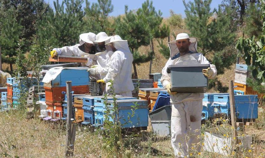 Erzincan yaylalarında kuşaktan kuşağa devam eden bal zenginliği