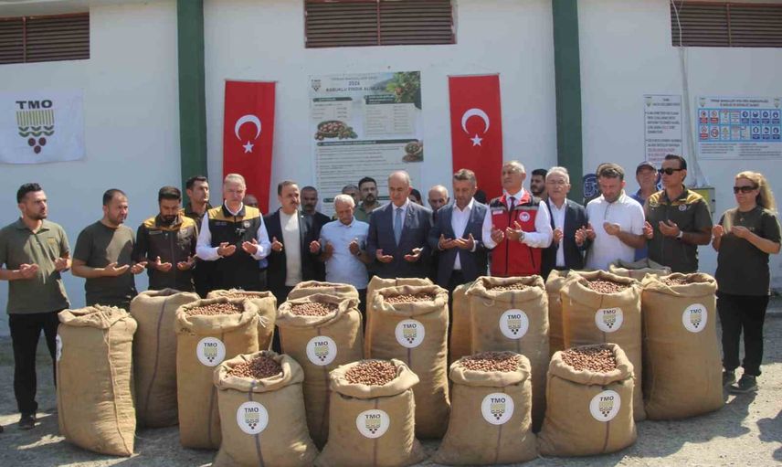TMO'dan 2025 fındığı açıklaması: geçen yılın mahsulü alınmayacak