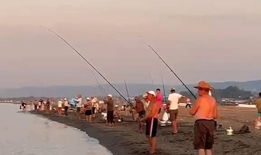 Karacabey sahillerinde oltalara istavrit yağdı