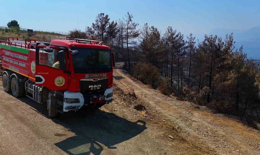 Adana’nın yemyeşil ormanları üç günde siyaha döndü
