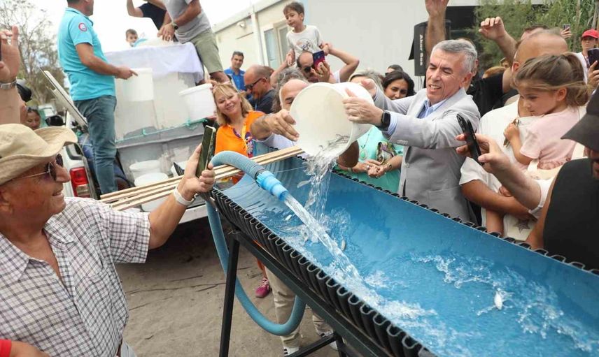 Denizin bin hali Bodrum’da: üç gün sürecek uluslararası balık festivali