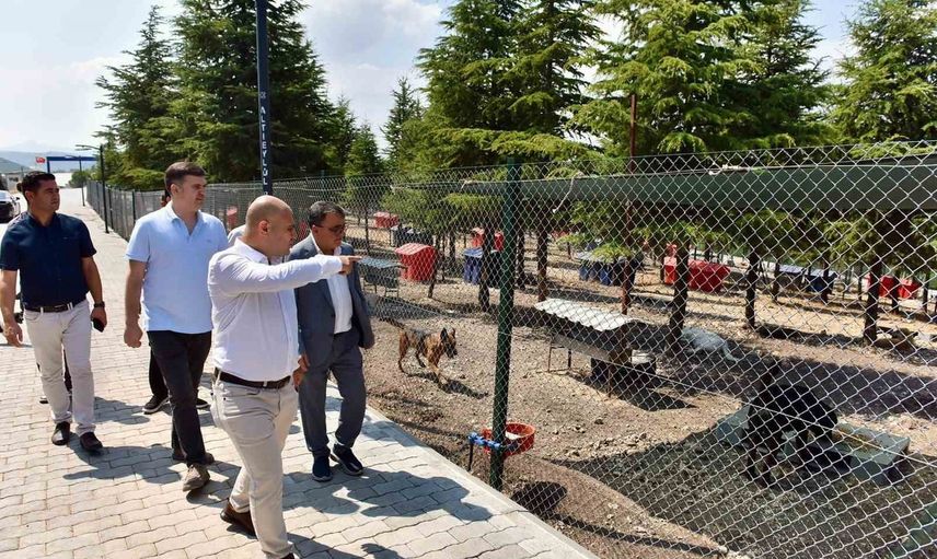 Altıeylül'de can dostların bakım ve sahiplendirme süreci yerinde değerlendirildi