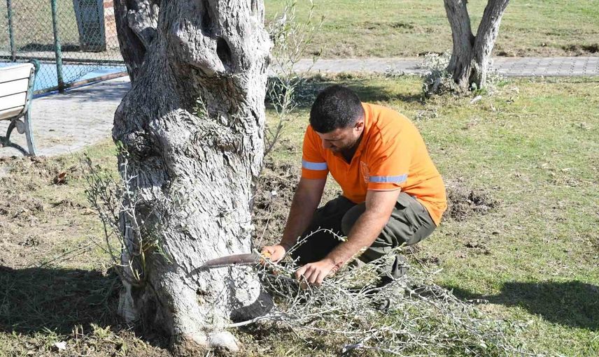 Kuşadası'nda parklar ve oyun alanları sistemli bakım çalışmalarıyla yenileniyor