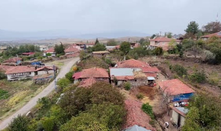Osmancık karasının gen haritası çıkarıldı, pekmez için tescil çalışması sürüyor