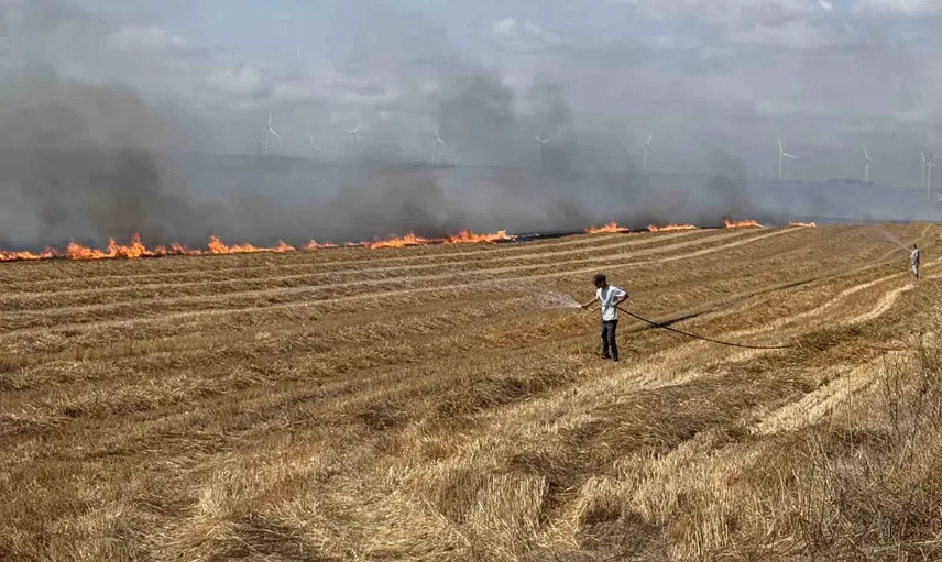 Silivri'de anız yangını kontrol altına alındı; soğutma çalışmaları sürüyor