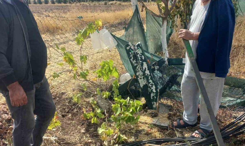 Eskişehir'de bahçe telleri tahrip edildi, mahalleli şüphelilerin peşinde