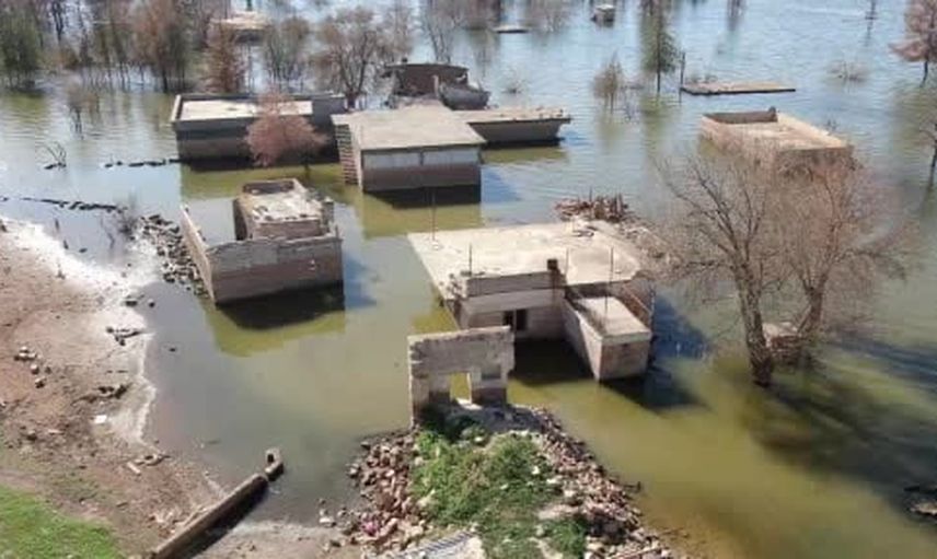 Sular altında kalan köy leyleklerin ve balıkçıların buluşma noktası oldu