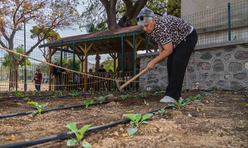 Toprakla yeniden hayat bulan Sevim Hanyalı, ilk karnabaharı başkana götürecek