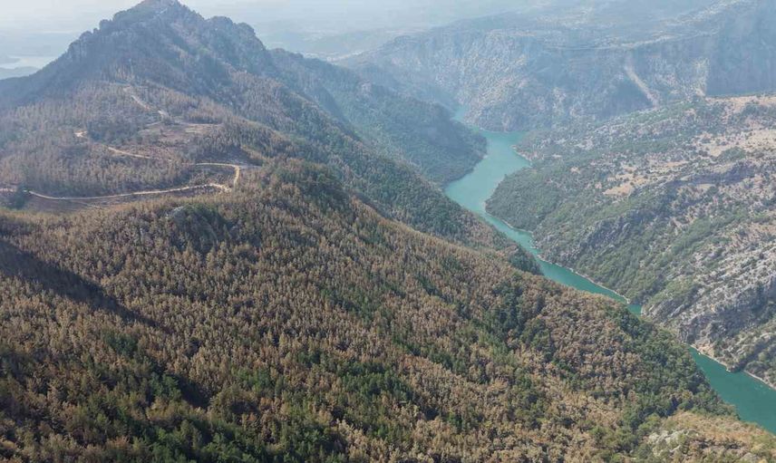 Konteynerler Kozan'da evlerini kaybeden ailelere geçici nefes oldu