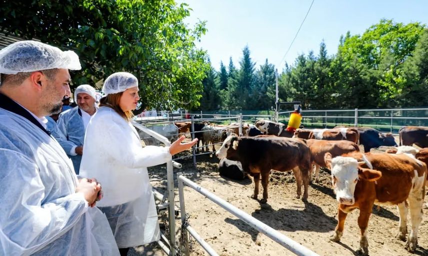 Belediye üretimden sofraya uzanan besi çiftliğini hizmete açtı