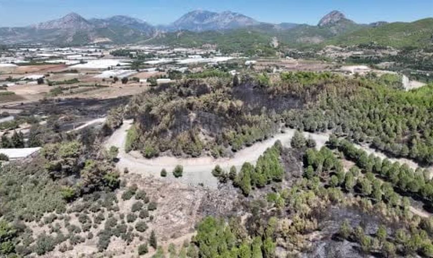 Antalya ekipleri yangın mağdurlarının yaralarını yerinde sarıyor