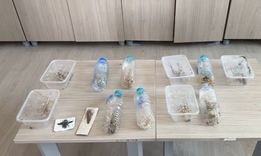 Nemrut Dağı'nda biyokaçakçılığa caydırıcı yaptırım: iki yabancıya 1,4 milyon lira ceza