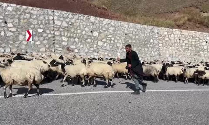 Erzurum’da yaylalardan kışlaklara uzun ve zorlu dönüş mesaisi