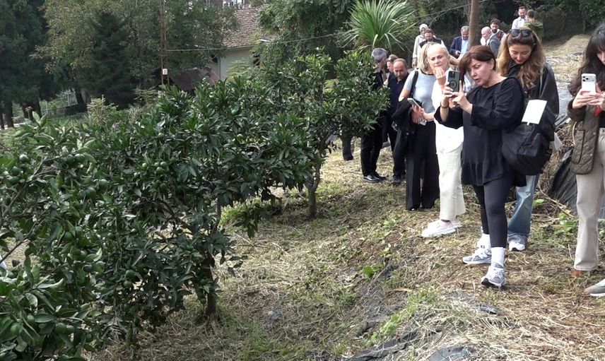 Rize gastronomisi sofradan sağlığa yeni bir yaşam ve turizm modeli kuruyor