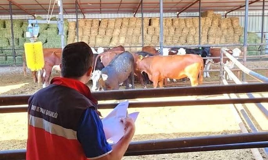 Kırsalda bereket programı kapsamında TİGEM işletmelerinde tespit ve kontroller yapıldı