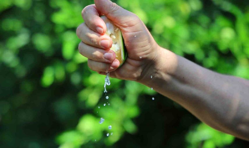 Adana'da limon üreticileri Rusya belirsizliğinde alternatif ihracat yolları arıyor