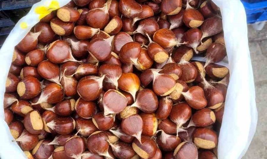 İnebolu'da kestane pazara indi: kilogramı 400 liradan satılıyor