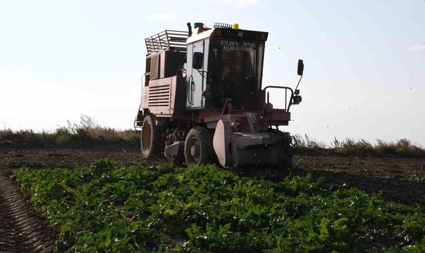 yozgat battal köyünde pancar hasadı: altı aylık emeğin hasadı tarlalarda başladı