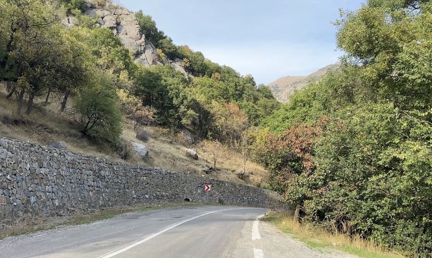 Doski vadisinde yarım asırlık Antep fıstığı geleneği yeniden umut veriyor