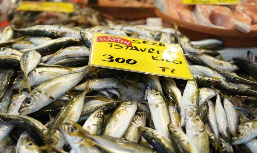 Kocaeli’de denizler bereket verdi: palamut öne çıktı, fiyatlar geriledi