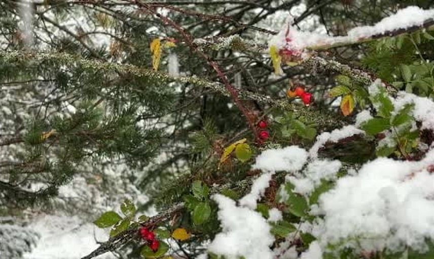 Bolu'nun yüksekleri beyaza büründü: Kartalkaya ve yaylalar karla kaplandı