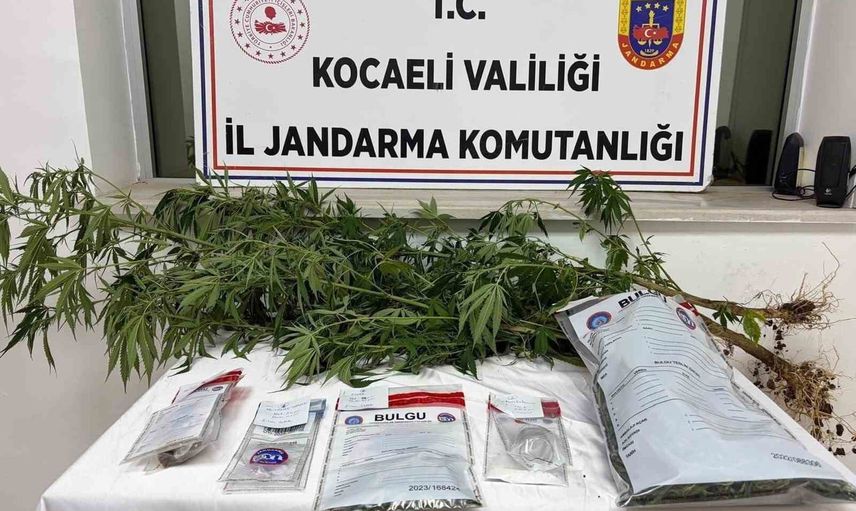 Kocaeli'de iki adreste yürütülen operasyonda uyuşturucu ve kenevir ele geçirildi