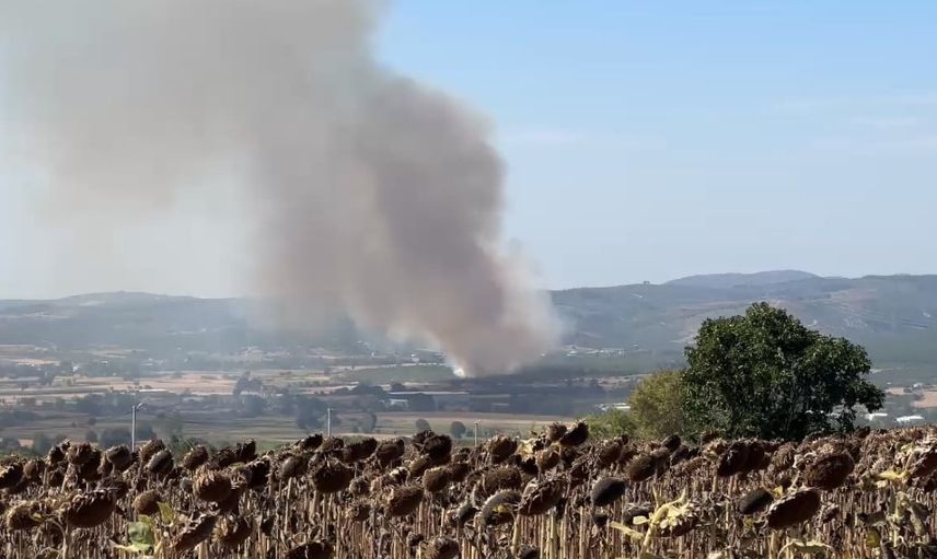 Mudanya'da tarım alevleri ormana ulaştı, müdahale yoğunlaştırıldı
