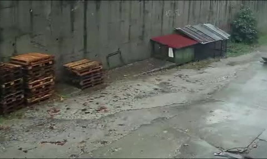 zonguldak'ta yağış sonrası istinat duvarı çöktü: köpekler telef oldu, 2 araç enkaz altında