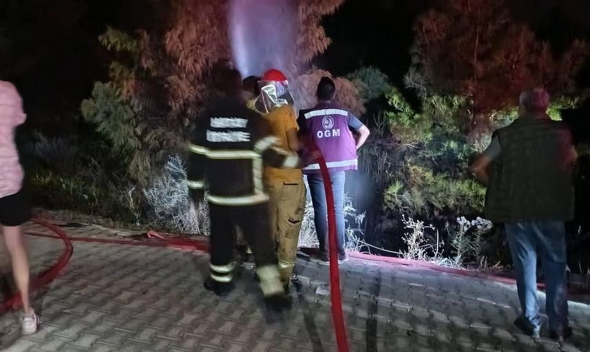 Havai fişeğin isabet etmesi Arsuz'da orman yangınına yol açtı