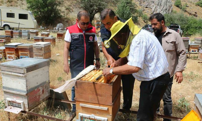 Erzincan'da balın tatlı mesaisi başladı