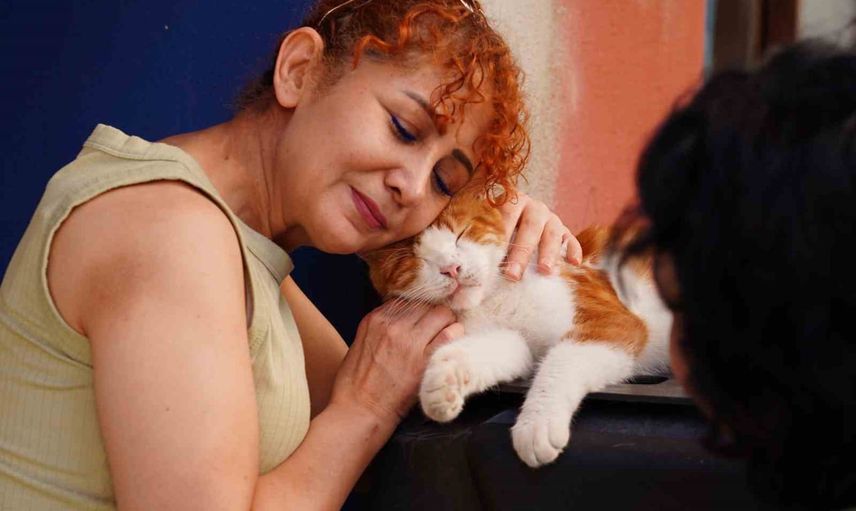 sokak kedilerinin yaşamlarını fotoğraflayarak dayanışma sağladılar