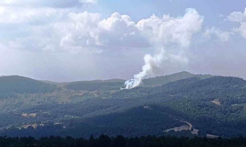 Otluk alanda başlayan yangın Hisarcık'ta ormana sıçradı, 6 dekar zarar gördü