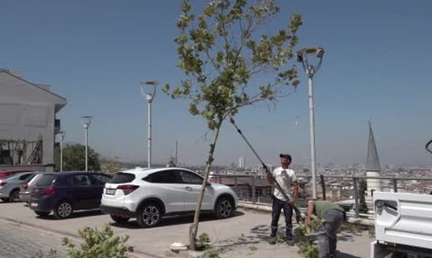 Ulutepe caddesinde kapsamlı temizlikle ihmal dönemi son buldu