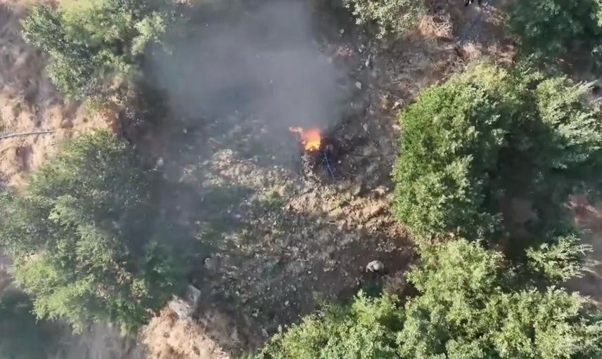 Yasa dışı ekimle topyekûn mücadele: Diyarbakır'da 247 bin 145 kök kenevir imha edildi
