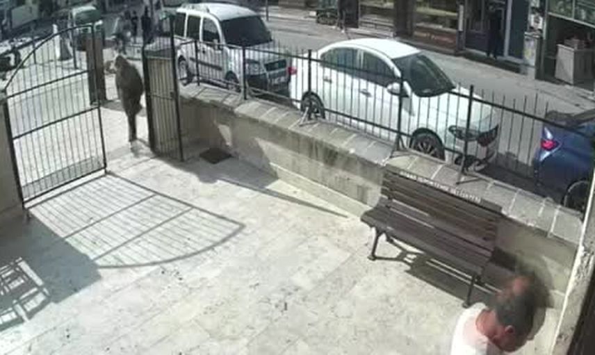 Namaz molasında yankesiciler devrede: kadının cüzdanı ve 2 gram altın çalındı