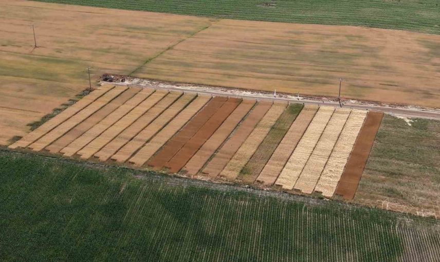 Kalkanlı üretim sofralara dönüşüyor: Odunpazarı belediyesi 1,6 ton unu ihtiyaç sahiplerine ulaştırdı