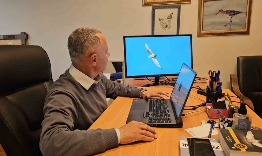 Filyos’ta beklenen misafir: kır baykuşu Zonguldak’ın kuş listesine 320’nci tür olarak girdi