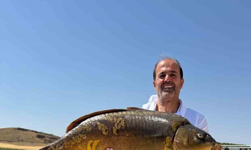 Dev sazanı kıyıya çıkaran amatör: Keban Baraj Gölü'nde 27 kilogramlık av