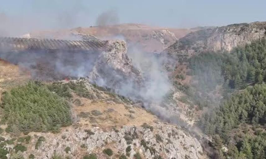 Antakya Narlıca'da orman ve zeytinlik yangını müdahale sürüyor