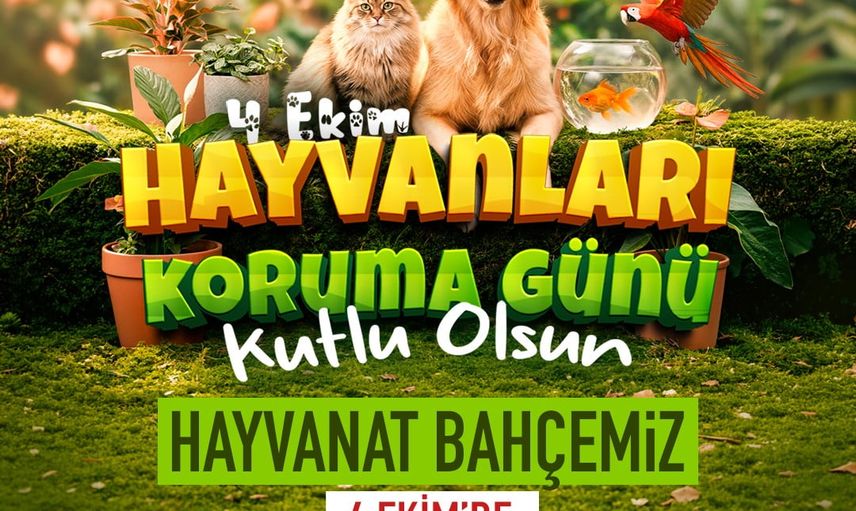 dilsiz dostlara duyarlılık çağrısı: 4 ekimde hayvanat bahçesi ücretsiz