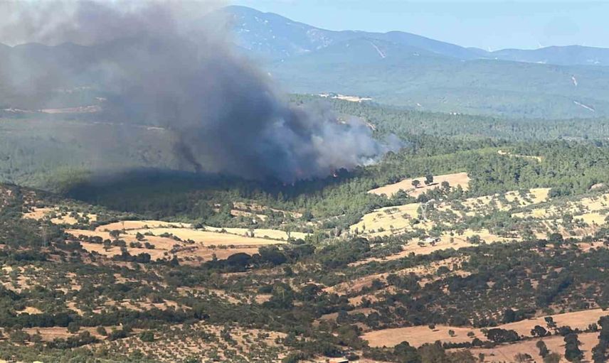 Bayramiç'te rüzgarın etkisiyle yayılan orman yangınına geniş çaplı müdahale