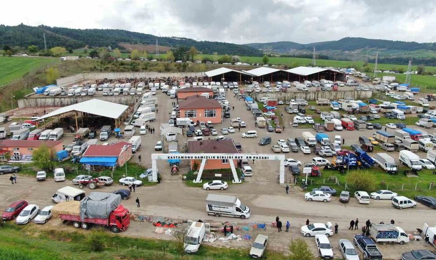 Kastamonu'da şap tehdidi: canlı hayvan pazarları süresiz kapatıldı