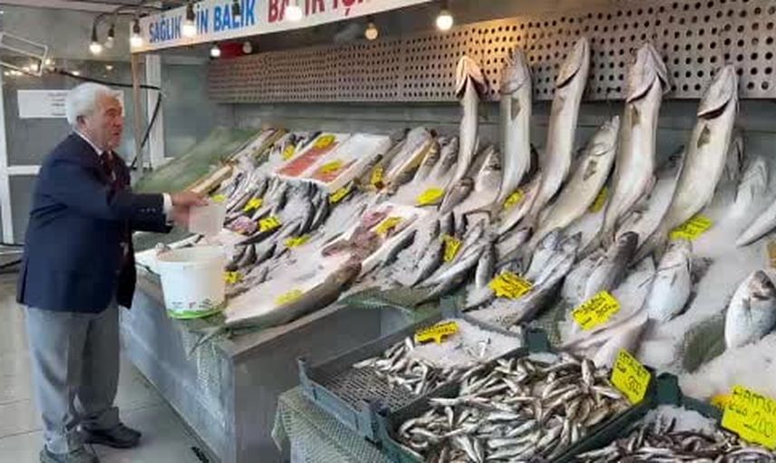 Denizlerde bolluk tezgâhlara taştı: palamut ve hamsi öne çıktı