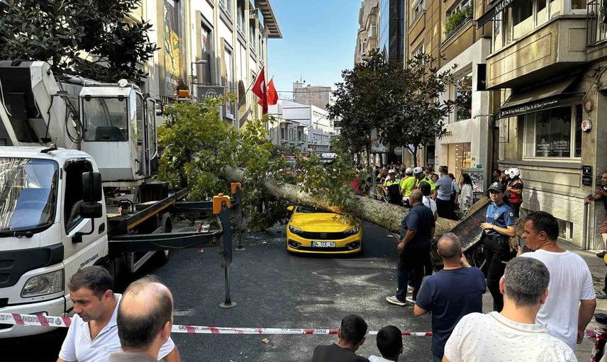 Teşvikiye caddesi'nde devrilen çınar iki araca zarar verdi; yol üç saat kapalı kaldı