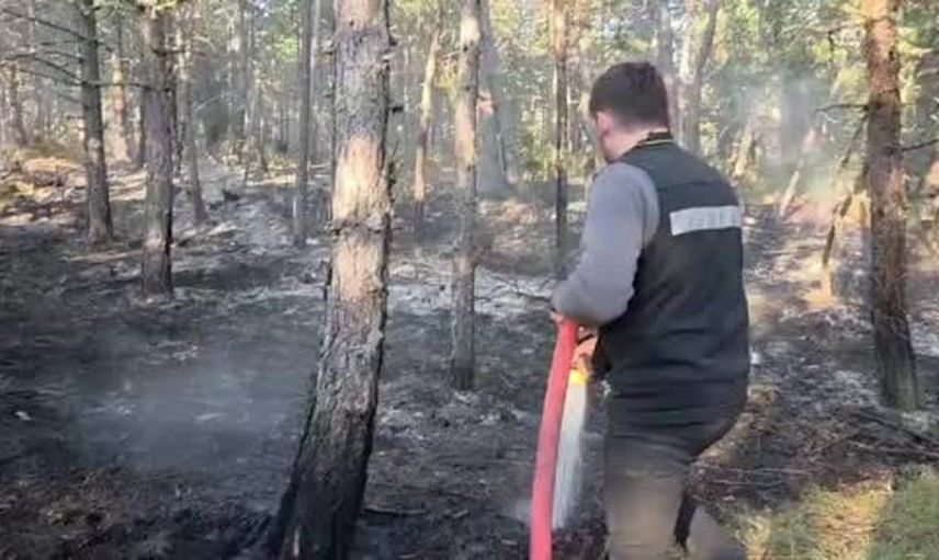 Eflani'de örtü yangını ekiplerin çabasıyla büyümeden söndürüldü